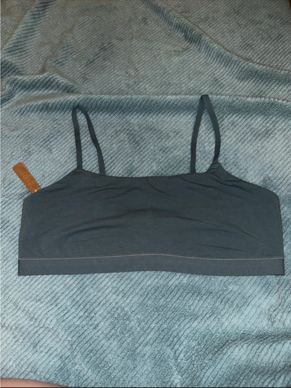 Skims bralette color kyanite size 3X